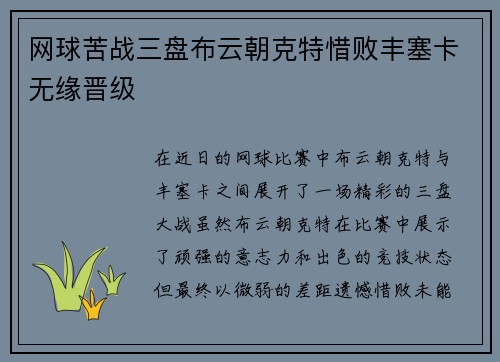 网球苦战三盘布云朝克特惜败丰塞卡无缘晋级